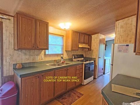 34 Conch Ln, Flippin, AR 72634 photo 6
