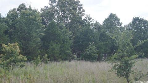 55 Hall Rd, Ash Flat, AR 72513 photo 7