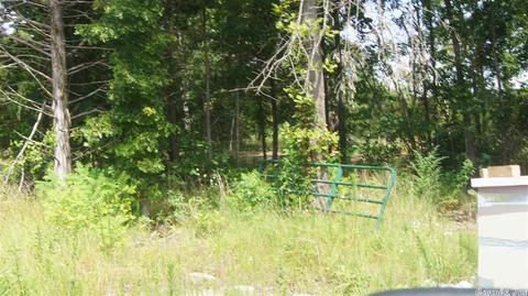 55 Hall Rd, Ash Flat, AR 72513 photo 11