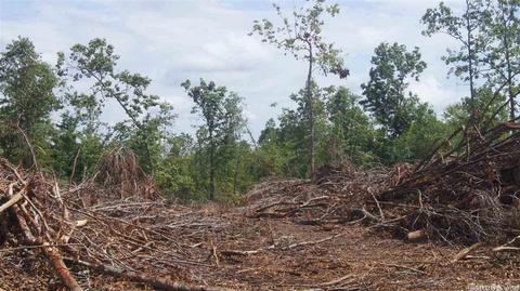 55 Hall Rd, Ash Flat, AR 72513 photo 8