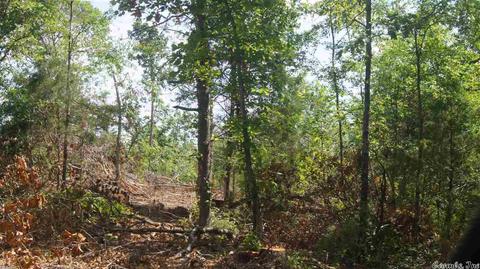 55 Hall Rd, Ash Flat, AR 72513 photo 9