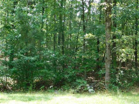 86 Skinner Hill Rd, Conway, AR 72032 photo 11