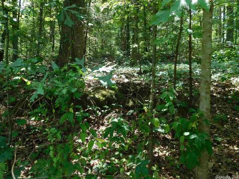 86 Skinner Hill Rd, Conway, AR 72032 photo 14