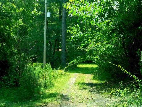 86 Skinner Hill Rd, Conway, AR 72032 photo 16