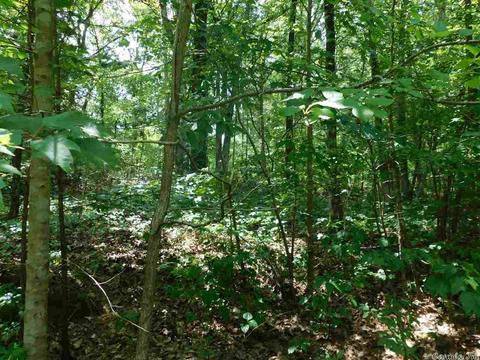 86 Skinner Hill Rd, Conway, AR 72032 photo 15