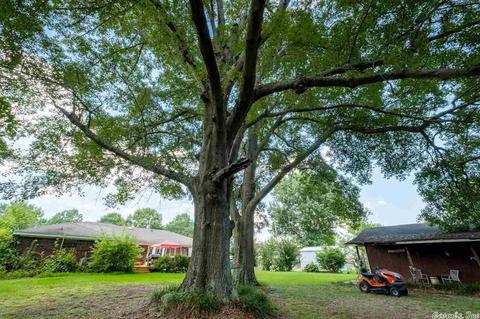 1205 Eastern Ave, Cabot, AR 72023 photo 30