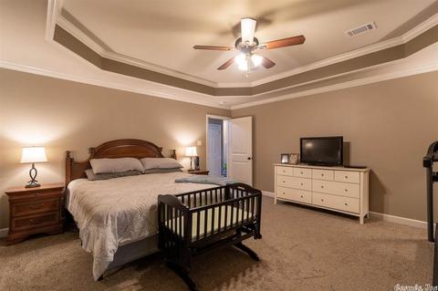 28 Lilly Ann Cir, Ward, AR 72176 photo 22