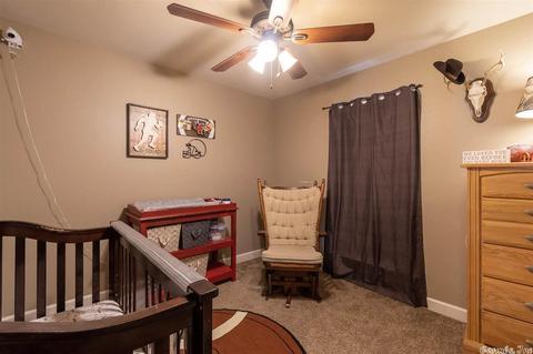28 Lilly Ann Cir, Ward, AR 72176 photo 29