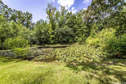 30 Bridgewater Ln, Ward, AR 72176 photo 33
