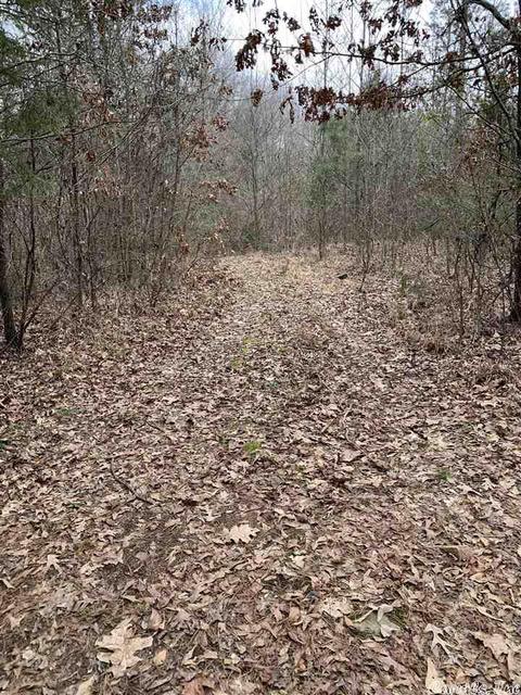 3409 Parker Rd, Waldron, AR 72958 photo 4