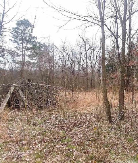 3409 Parker Rd, Waldron, AR 72958 photo 10