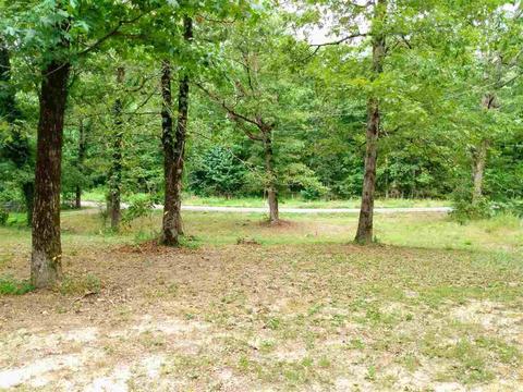 74 Ledwedge Rd, Bigelow, AR 72016 photo 16