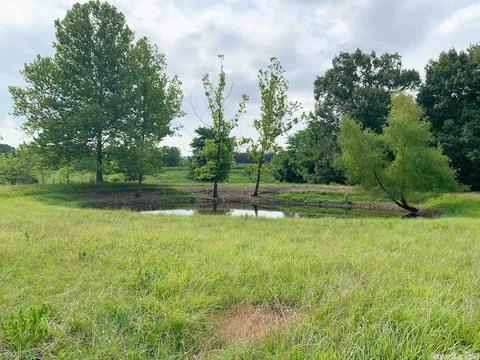 149 Sheep Shank Bnd, Quitman, AR 72131 photo 18