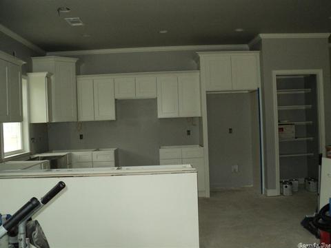 2 Silverleaf Cv, Greenbrier, AR 72058 photo 6