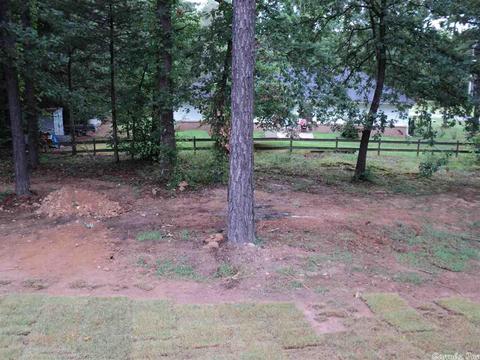 2 Silverleaf Cv, Greenbrier, AR 72058 photo 11