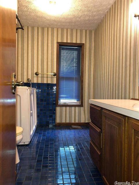 312 Jason St, Clinton, AR 72031 photo 21