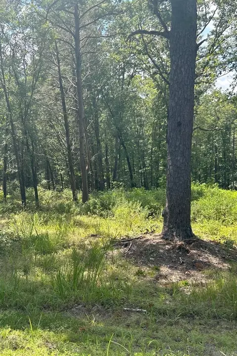 00 View Dr, Shirley, AR 72153