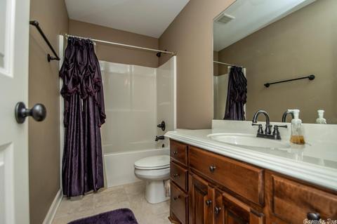 123 River Valley Loop, Maumelle, AR 72113 photo 30