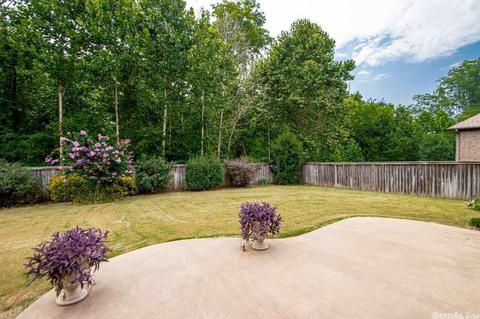 123 River Valley Loop, Maumelle, AR 72113 photo 34