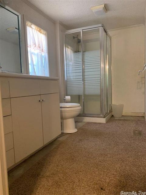 129 Delight Ter, Royal, AR 71968 photo 5