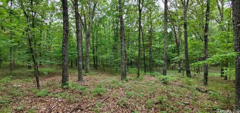 175 Eclipse Rd, Saint Joe, AR 72675 photo 6