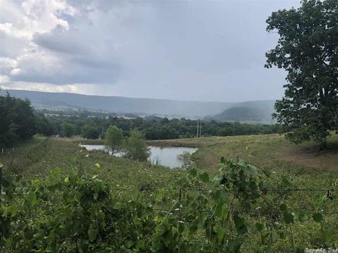 2139 Campbell Rd, Marshall, AR 72650 photo 5