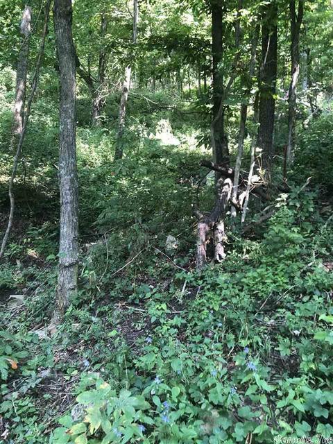 2139 Campbell Rd, Marshall, AR 72650 photo 36