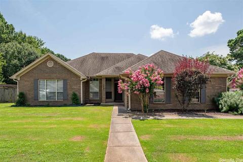 2865 Summerset Dr, Conway, AR 72034 photo 29