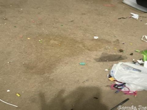 15 Stonewood Cv, Cabot, AR 72023 photo 13