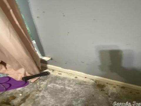 15 Stonewood Cv, Cabot, AR 72023 photo 7
