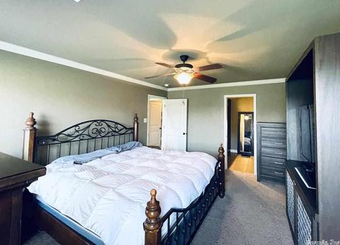 713 Mango Loop, Austin, AR 72007 photo 9