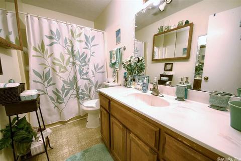 1 Beatty Ln, Conway, AR 72032 photo 22