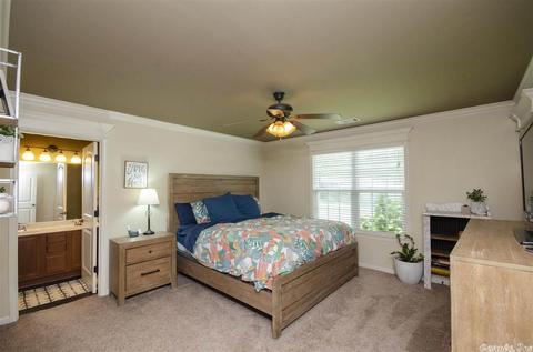 6910 N Haven Dr, Alexander, AR 72002 photo 17