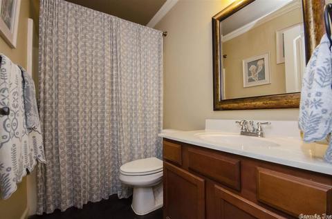 6910 N Haven Dr, Alexander, AR 72002 photo 19