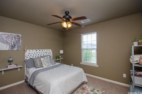 6910 N Haven Dr, Alexander, AR 72002 photo 23