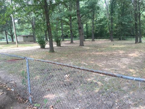 3036 Wise, Alexander, AR 72002 photo 14