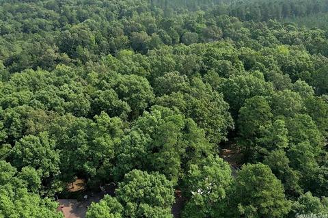 134 Forest Ln, Vandervoort, AR 71972 photo 37