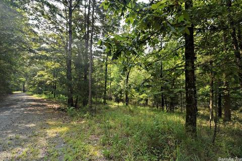 134 Forest Ln, Vandervoort, AR 71972 photo 34