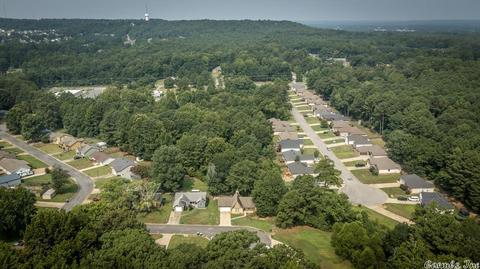 28 Leprechaun Ln, Alexander, AR 72002 photo 40