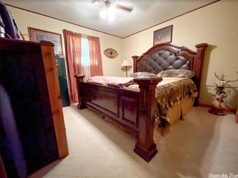 138 N Fairview, Rector, AR 72461 photo 5