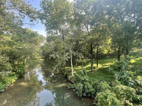 217 Peace Valley Rd, Ash Flat, AR 72513 photo 2