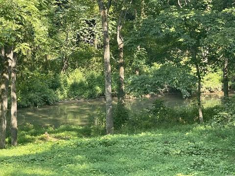 217 Peace Valley Rd, Ash Flat, AR 72513 photo 24
