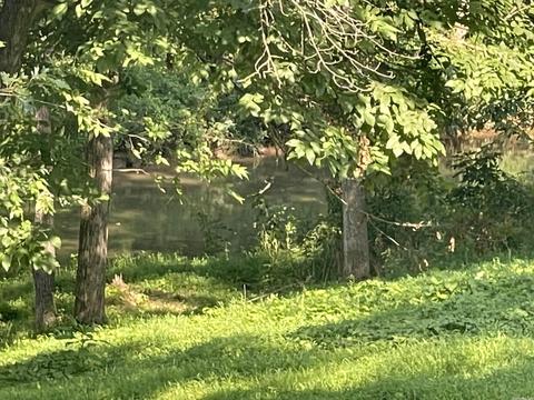 217 Peace Valley Rd, Ash Flat, AR 72513 photo 21
