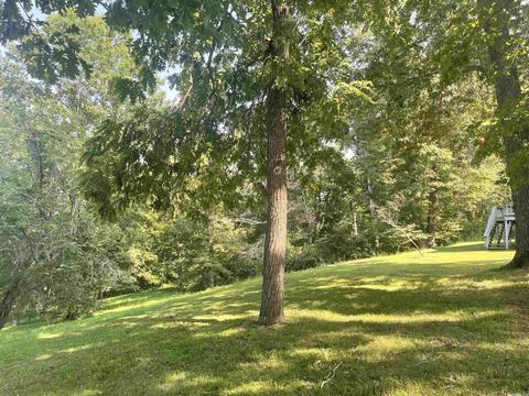 217 Peace Valley Rd, Ash Flat, AR 72513 photo 20