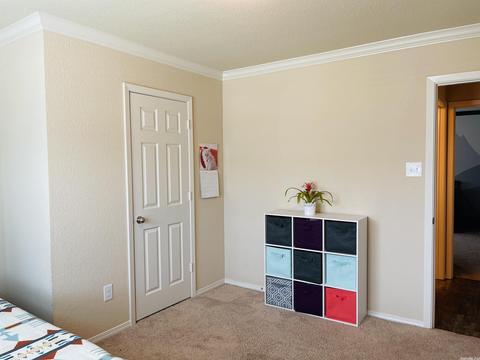 6328 Lena Dr, Alexander, AR 72002 photo 27
