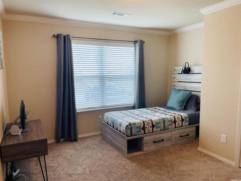 6328 Lena Dr, Alexander, AR 72002 photo 26