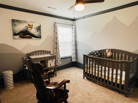 6328 Lena Dr, Alexander, AR 72002 photo 32