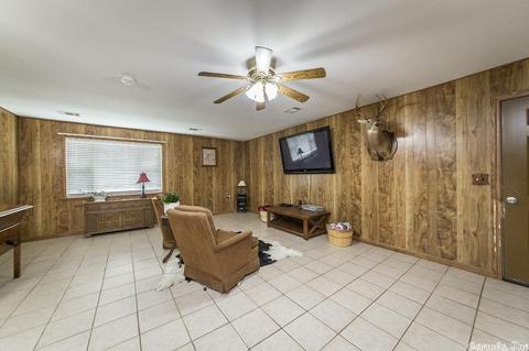 1002 Boar Rd, Clinton, AR 72031 photo 22