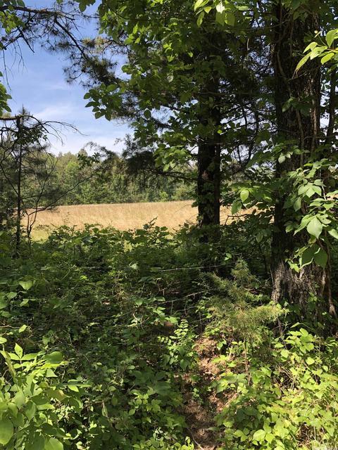 104 Casner Rd, Dennard, AR 72629 photo 12