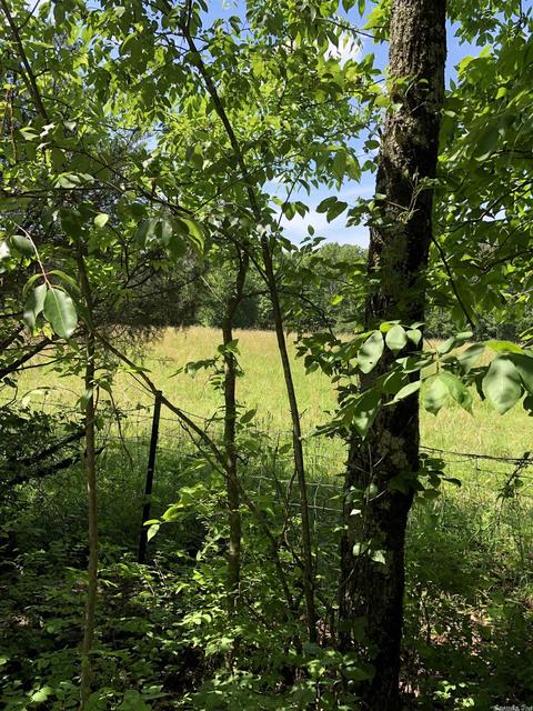 104 Casner Rd, Dennard, AR 72629 photo 11